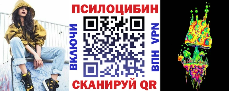 Купить закладки  Фролово  Псилоцибиновые грибы Psilocybine cubensis 